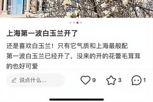 江南手游app官方网站